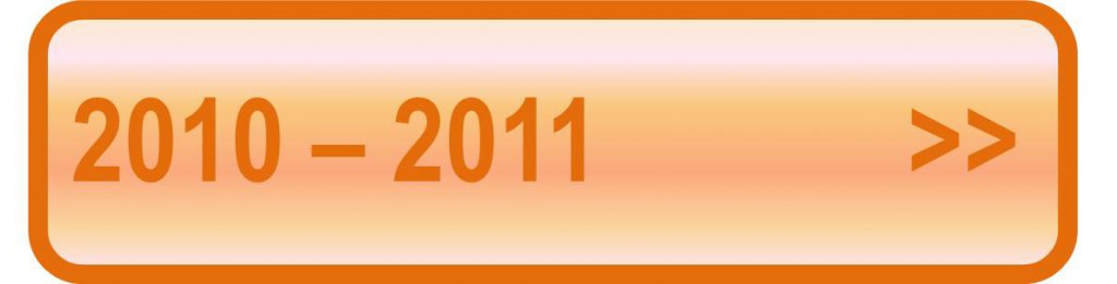 button 2010 - 2011